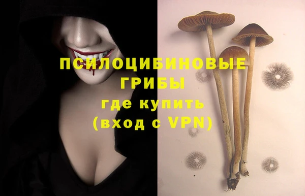 скорость Медвежьегорск